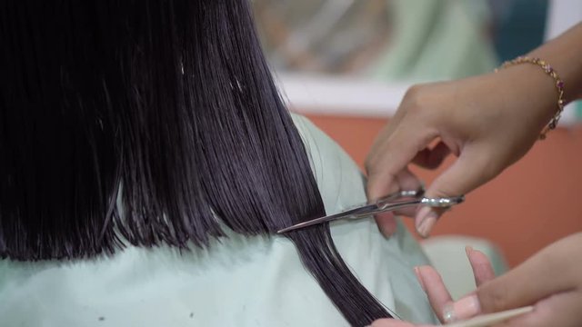 Hairdresser cutting client's hair in beauty salon
