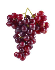 grape isolated on white background