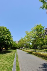 新緑