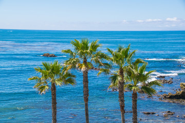 Laguna Beach, Orange County, Southern California Coastline  © rouda100