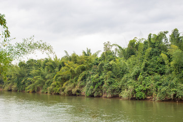 Landscape of rain forest's river.