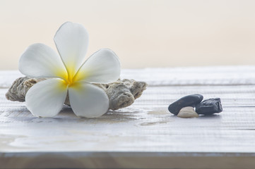 Tiare flowers,corals and stones on white wood,Sand background.