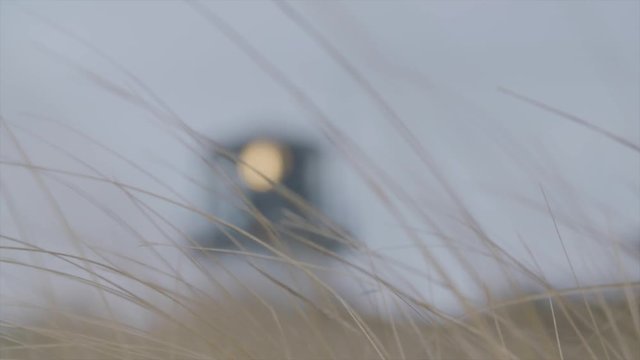 Cape Cod Lighthouse Abstract