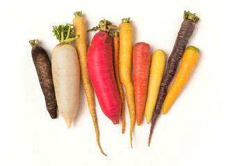カフルなにんじん　Colorful carrots