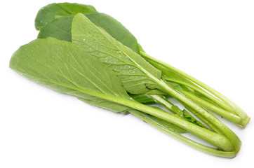 Choy sum vegetable