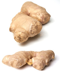 Root ginger isolated on a white studio background.