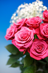 薔薇の花