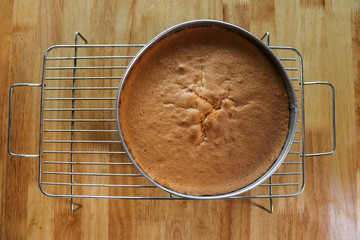 Chiffon cake on grille on wooden table.