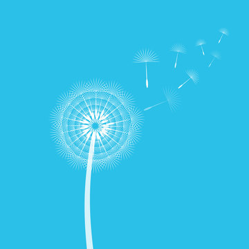 Dandelion blowing from the breeze. Vector illustration.