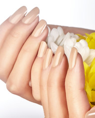 Manicured nails with natural nail polish. Manicure with beige nailpolish. Fashion manicure. Shiny gel lacquer. Spring