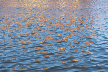 Reflections on water surface.