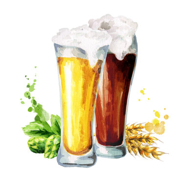 Dark and light beer, hops and malt. Watercolor