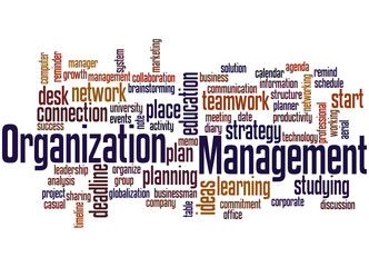 Organization Management, word cloud concept 2