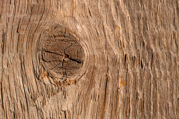 wood texture closeup © masyuk1989