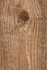 Fototapeta premium wood texture closeup