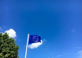 Europaflagge und Baum