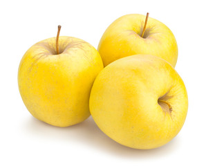golden delicious apples