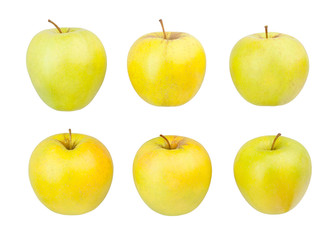 golden delicious apples