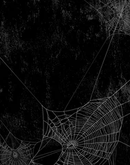 Tuinposter Spider web silhouette against black shabby wall - halloween theme vertical grunge background © Cattallina