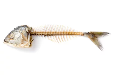 Foto op Plexiglas visgraat van geroosterde makreelvis op witte achtergrond © reshoot