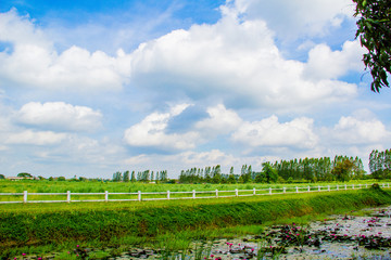 Fototapeta premium THAILAND - April 16, 2017:Blue sky background with tiny clouds