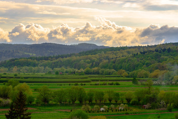 Obraz premium View from tower of renaissance castle in Krasiczyn (Poland)