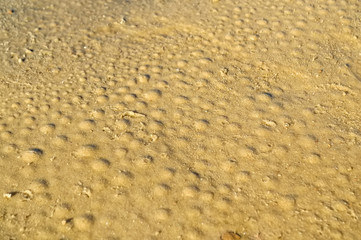Wet sand with round trails background texture