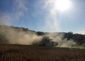 Mähdrescher im Feld