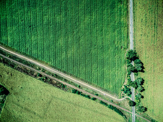track and parallel railway in green country field, aerial photo, top view