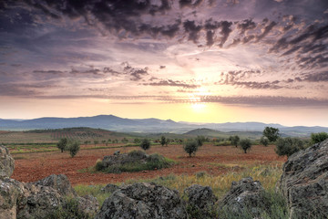 Atardecer en el campo