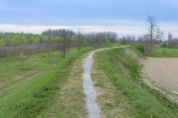Fototapeta na wymiar Green countryside path, hill landscape, among trees
