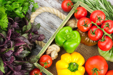 Set of raw vegetables in the wooden tray