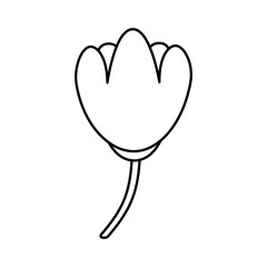 beauiful garden flower icon vector illustration design