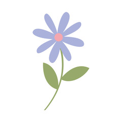 cute garden flower decorative icon vector illustration design