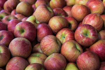 Pile of apples