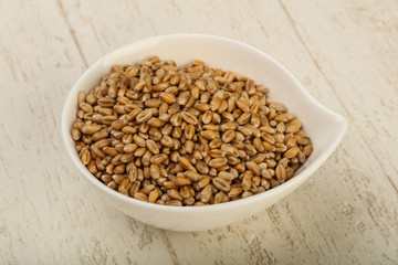 Wheat grains