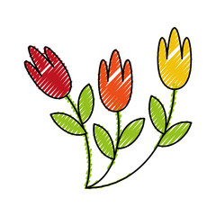 cute garden flower decorative icon vector illustration design