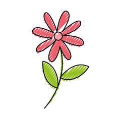 cute garden flower decorative icon vector illustration design