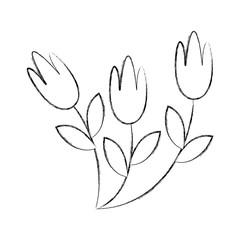 cute garden flower decorative icon vector illustration design