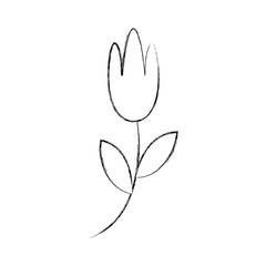 cute garden flower decorative icon vector illustration design