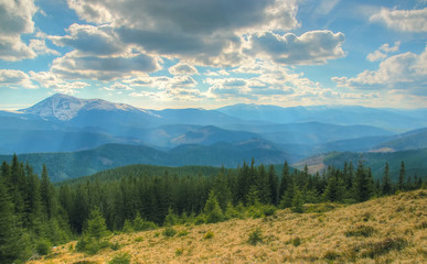 Plakat Spring landscape in the Carpathian mountains