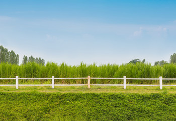 Fototapeta premium White fence with green grass field in farm background