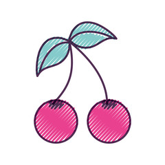 cherries fruits fresh icon vector illustration design