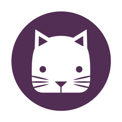 cute little cat icon vector illustration design