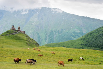 Trinity Church in Gergeti