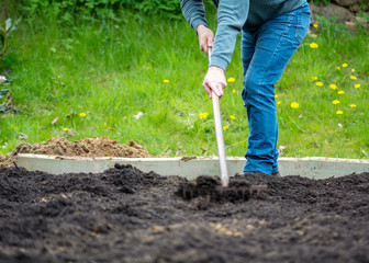 Man raking soil in a garden