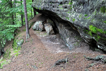 Algae formed on the big rock