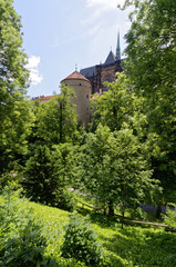 Monumental tower behind the trees