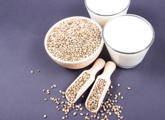 Hemp milk, seeds on the dark background . Close Up .