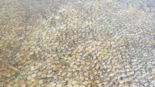 รูปภาพKamogawa เลือกดูภาพถ่ายสต็อก เวกเตอร์ และวิดีโอ6,069 Adobe Stock